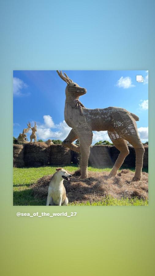 海中天旅店 Sea Of The World B&B Kenting Dış mekan fotoğraf
