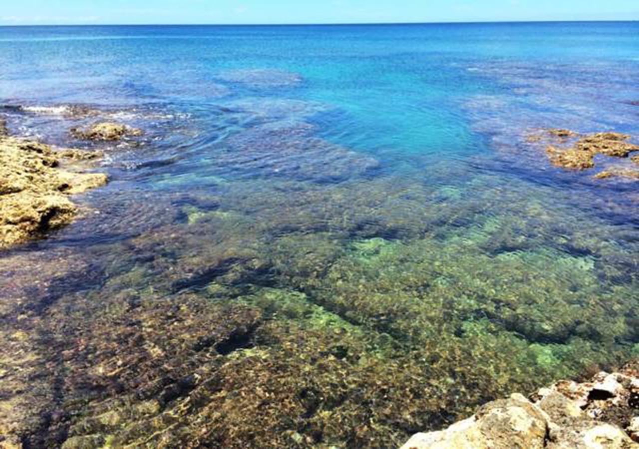 海中天旅店 Sea Of The World B&B Kenting Dış mekan fotoğraf